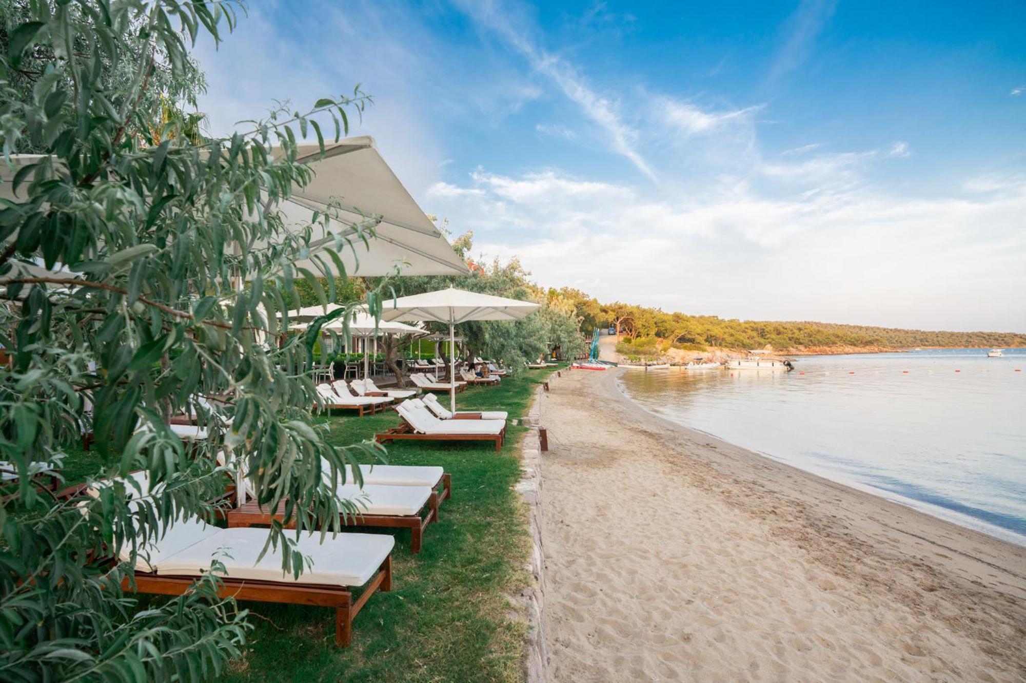 Ortunc Hotel - Cunda Island (Adults Only) Ayvalı Exterior foto