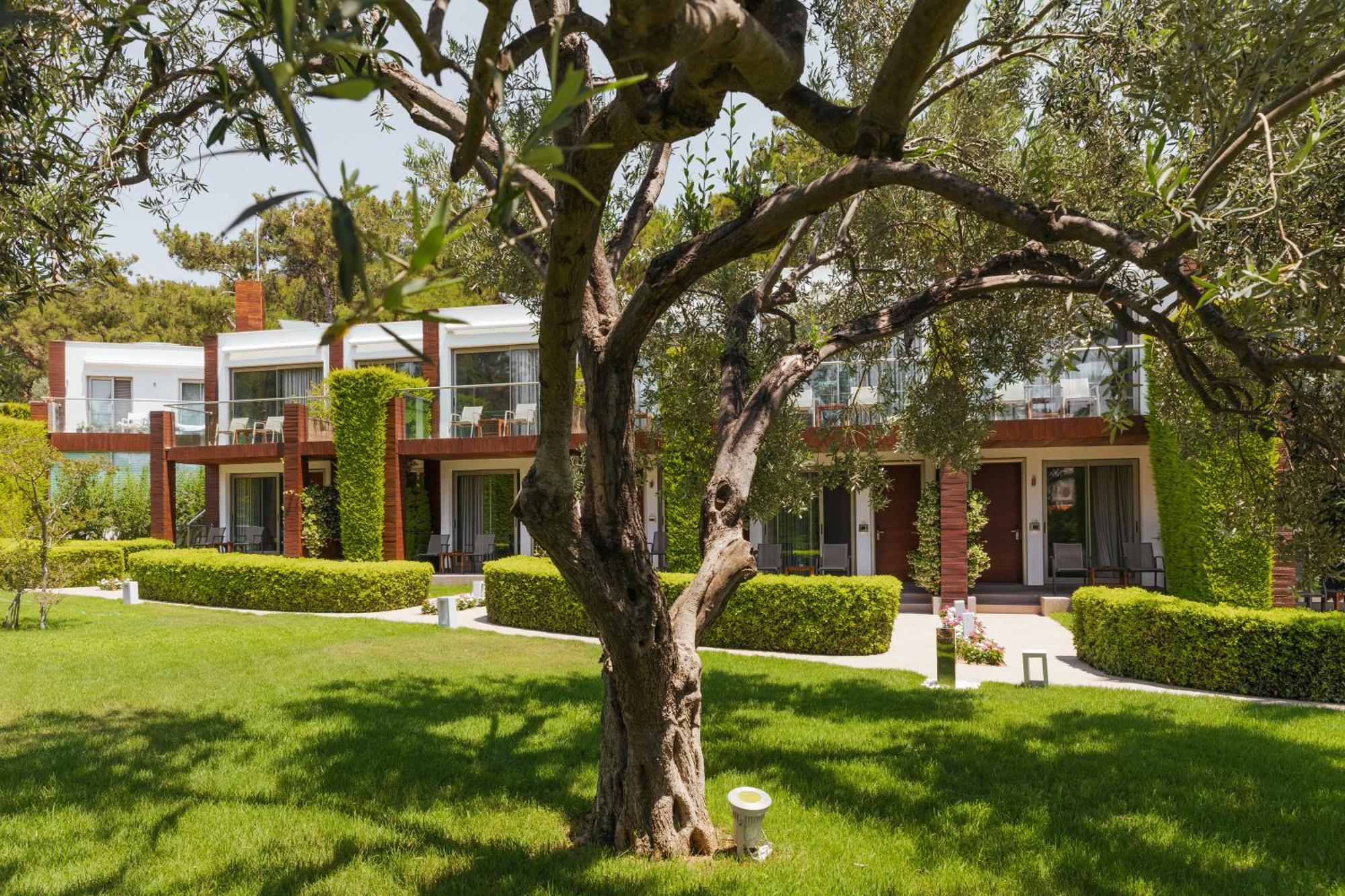 Ortunc Hotel - Cunda Island (Adults Only) Ayvalı Exterior foto