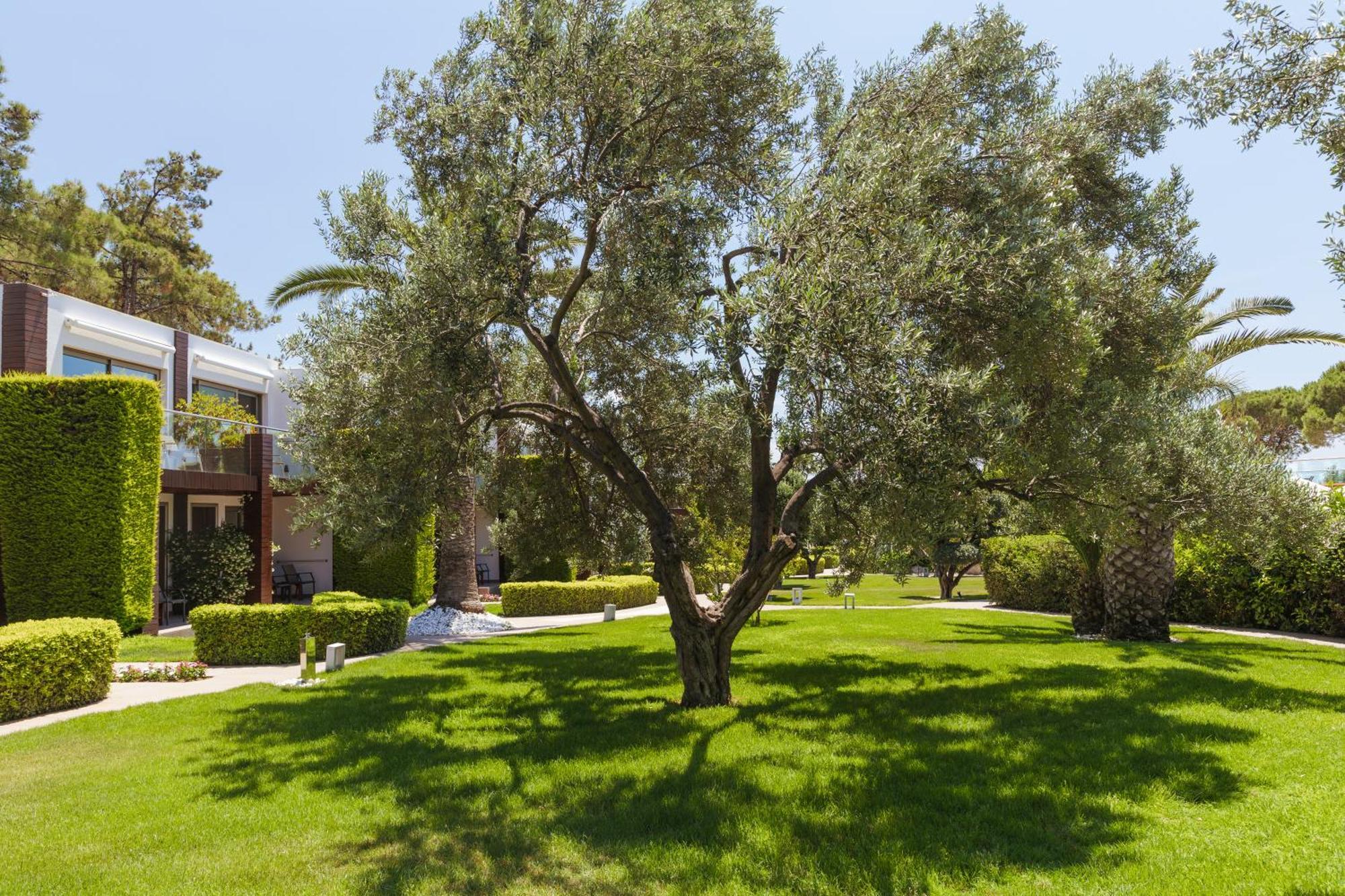 Ortunc Hotel - Cunda Island (Adults Only) Ayvalı Exterior foto